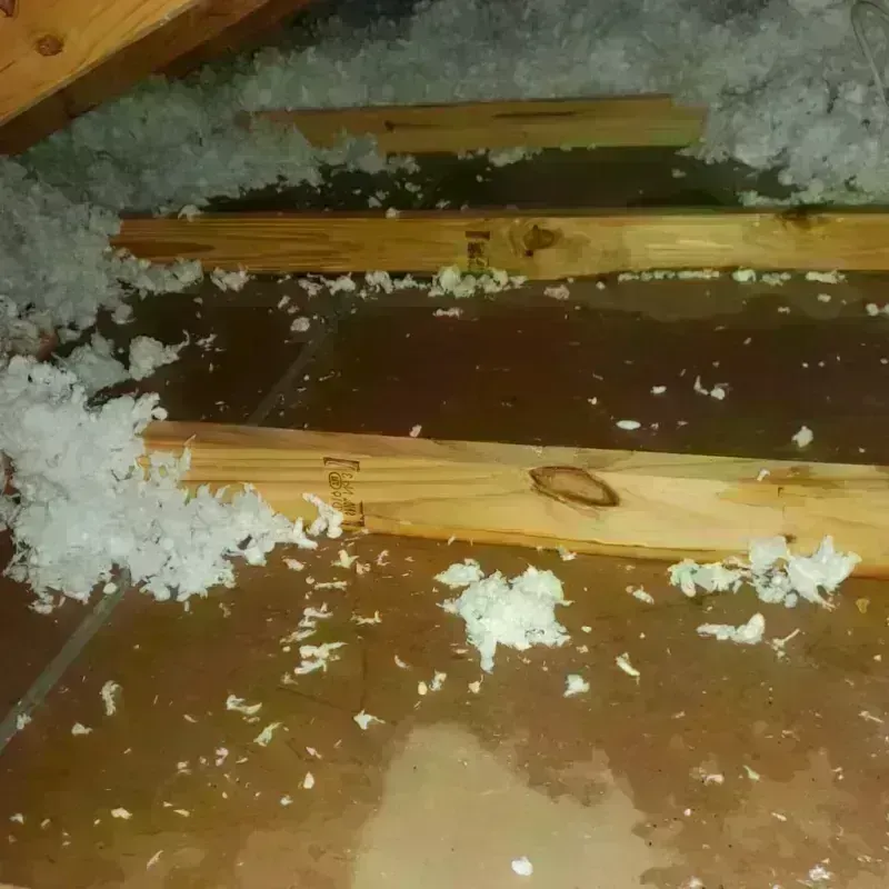 Attic Water Damage in Prospect, KY